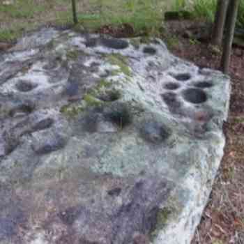 Click para ampliar. Pulsa en el nombre para ver la ficha. Monte do Boi-5